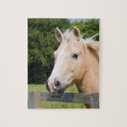 Horse head palomino beautiful photo jigsaw puzzle