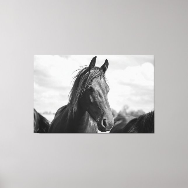 horse head wrapped canvas print (Front)