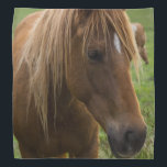 Horse Hello Bandana<br><div class="desc">A horses comes up to greet me at a horse farm in Ozark Missouri. Ozark is a small country town just South of Springfield, MO. Looking for more prints or products? Feel free to visit my store: http://www.zazzle.com/timelessmomentsphtgy This photo was taken by Jennifer White with Timeless Moments Photography. All images...</div>