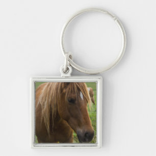 Horse Hello Keychain