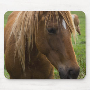 Horse Hello Mouse Pad