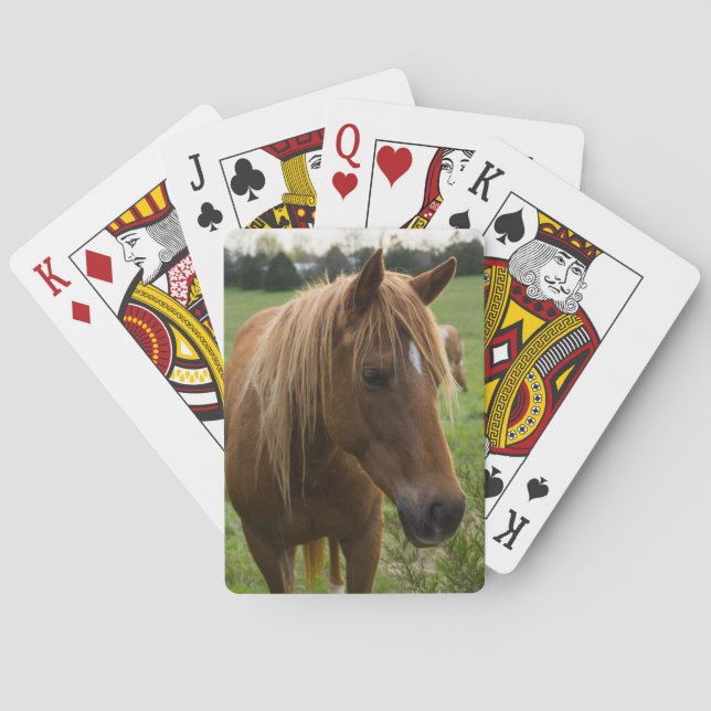 Horse Hello Poker Cards (Back)