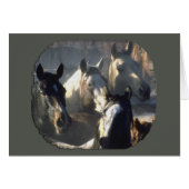 Horse Herd (Front Horizontal)