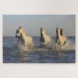 horse herd puzzle 