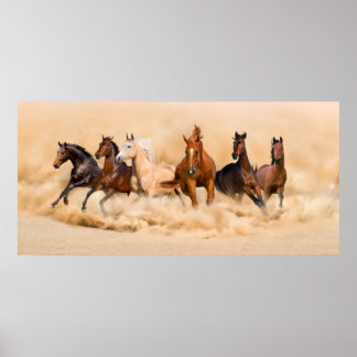 Horse herd run in desert sand storm poster
