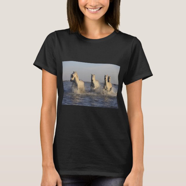 horse herd T-shirt  (Front)