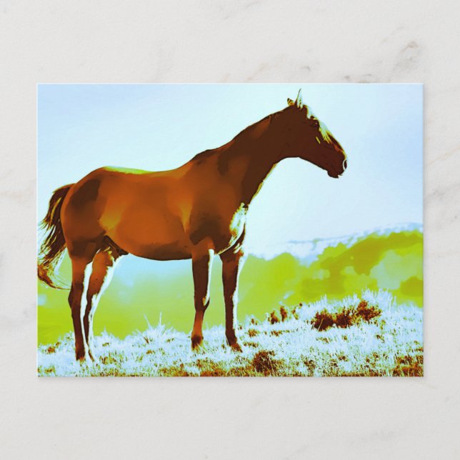 *~* Horse - Hill Mountains AR22 Equine Artistic Postcard (Front)