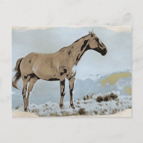  Horse _ Hill Mountains AR22 Equine Western Postcard