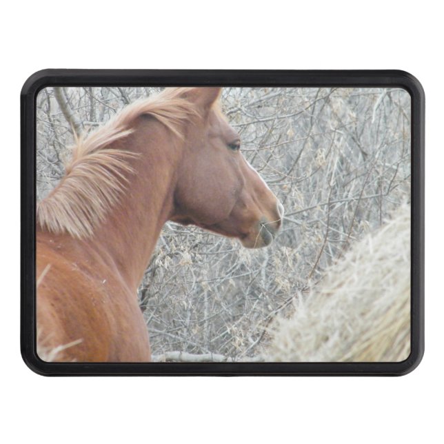 Horse Hitch Tow Hitch Cover (Front)