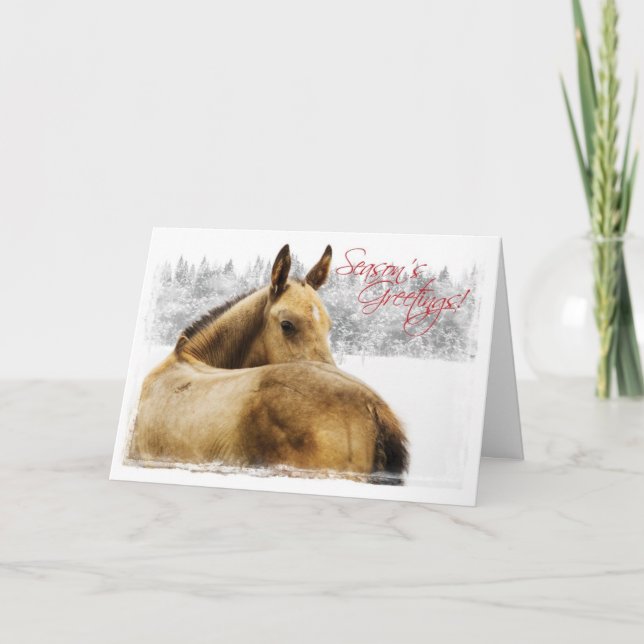 Horse Holiday Christmas Card (Front)