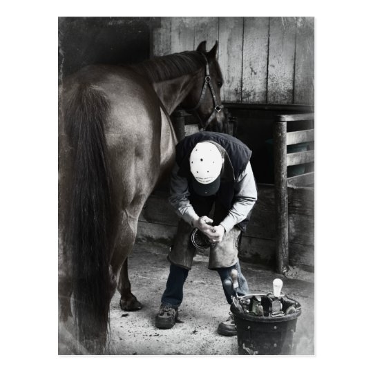 Horse Hoof Trim & Farrier Services Postcard