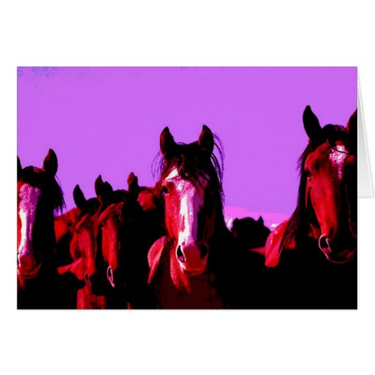 Horse - Horses Cards (Front Horizontal)