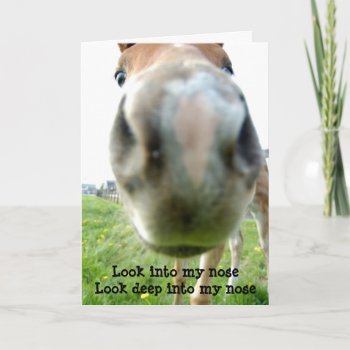 Horse Hypnotist Getting Older Birthday Card by shotwellphoto at Zazzle