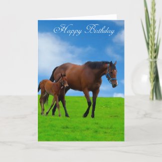 Horse Images for greeting card