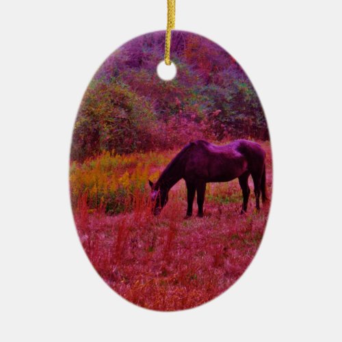 Horse in a Kaleidoscope Colored Field Ceramic Ornament