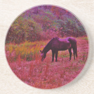 Horse in a Kaleidoscope Colored Field Drink Coaster