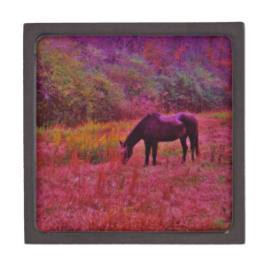 Horse in a Kaleidoscope Colored Field Jewelry Box