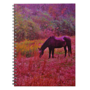 Horse in a Kaleidoscope Colored Field Notebook