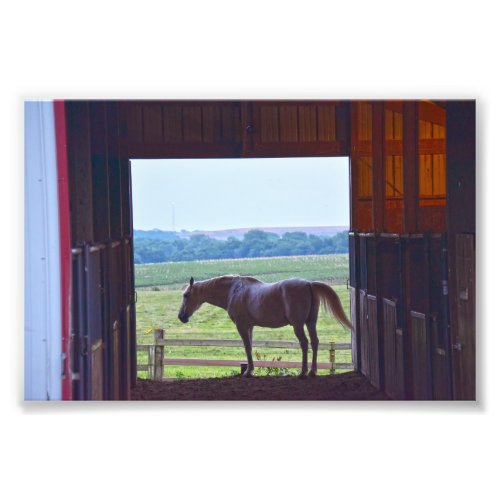 Horse in a Stable Missouri Photo Print