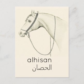Horse in Arabic - vintage illustration