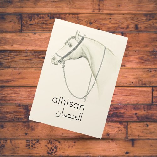 Horse  in  Arabic _ vintage illustration Postcard