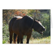 Horse in Autumn (Front Horizontal)
