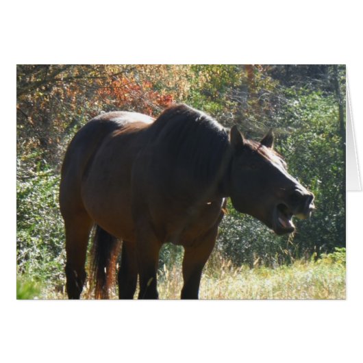 Horse in Autumn (Front Horizontal)