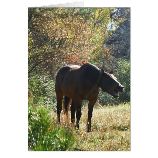 Horse in Autumn Cards (Front)