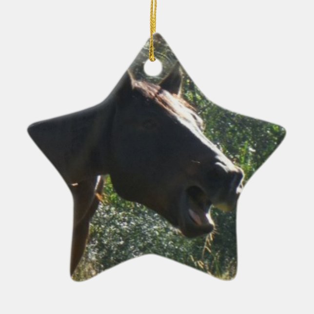 Horse in Autumn Ceramic Ornament (Front)