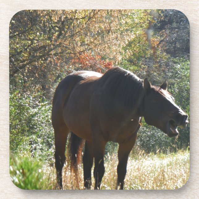 Horse in Autumn Coaster (Front)