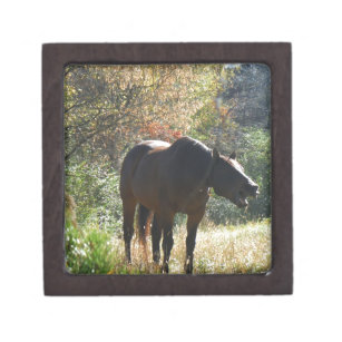 Horse in Autumn Keepsake Box