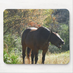 Horse in Autumn Mouse Pad