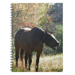 Horse in Autumn Notebook