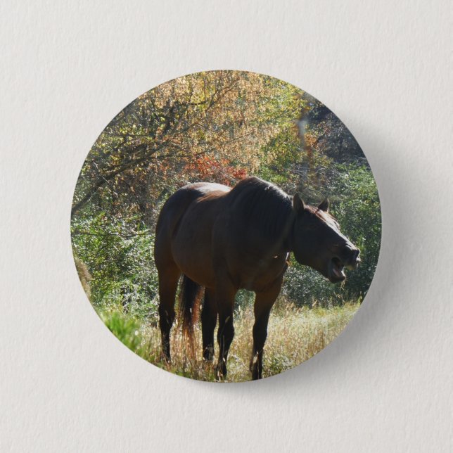 Horse in Autumn Pinback Button (Front)