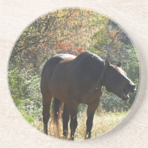 Horse in Autumn Sandstone Coaster