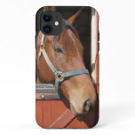 Horse in Barn iPhone 11 Case
