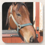 Horse in Barn Coaster