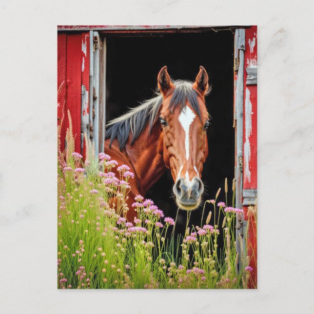 Horse In Barn Door Postcard (Front)