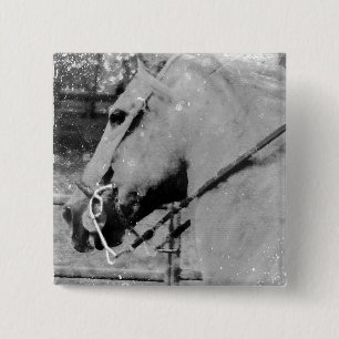 Horse in Black and White Button