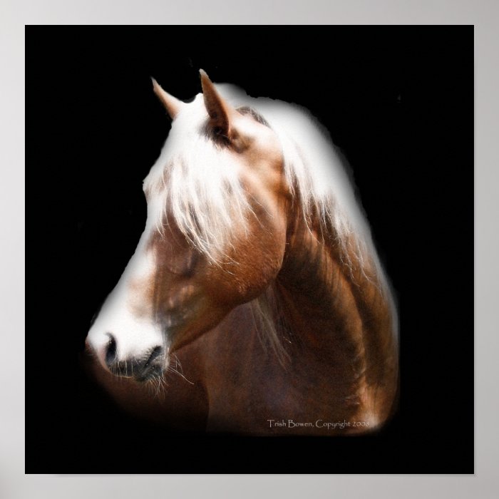 Horse in Black Poster