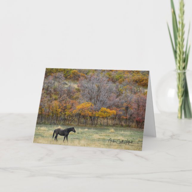 Horse In Fall Card (Front)