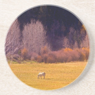 Horse In Fall I Drink Coaster