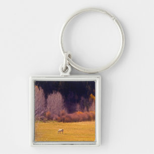 Horse In Fall I Keychain