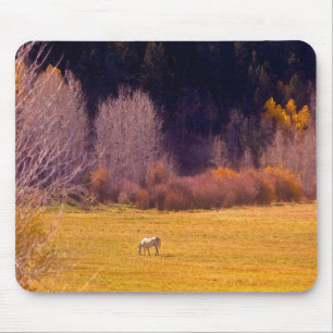 Horse In Fall I Mouse Pad