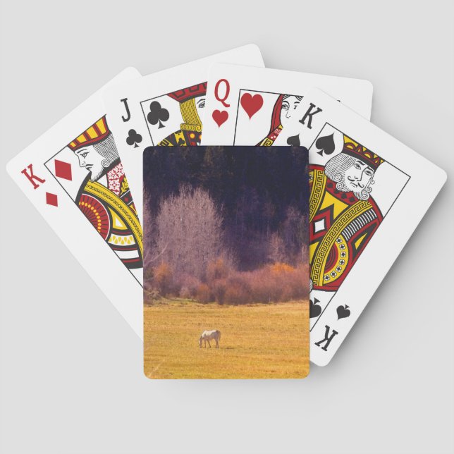 Horse In Fall I Poker Cards (Back)