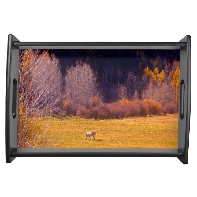Horse In Fall I Serving Tray (Front)