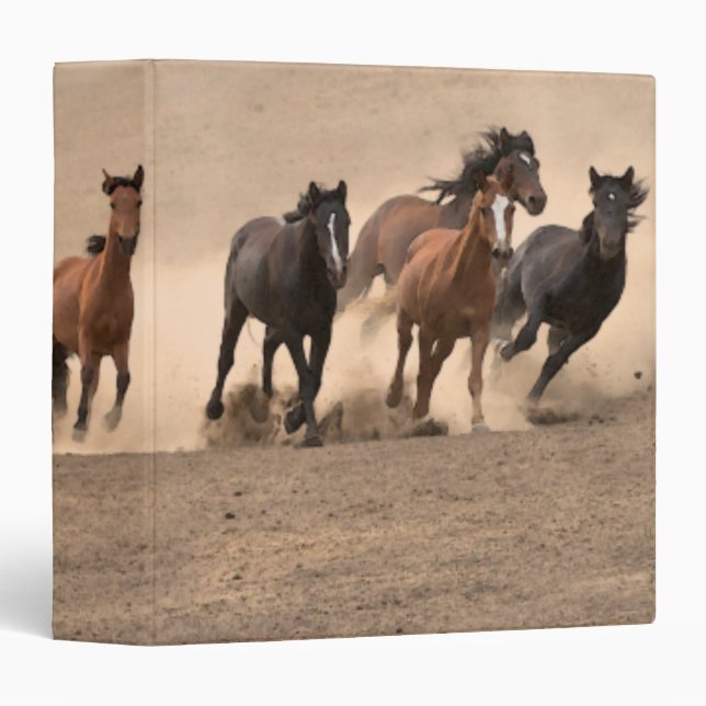 Horse In Fall II 3 Ring Binder (Front/Spine)