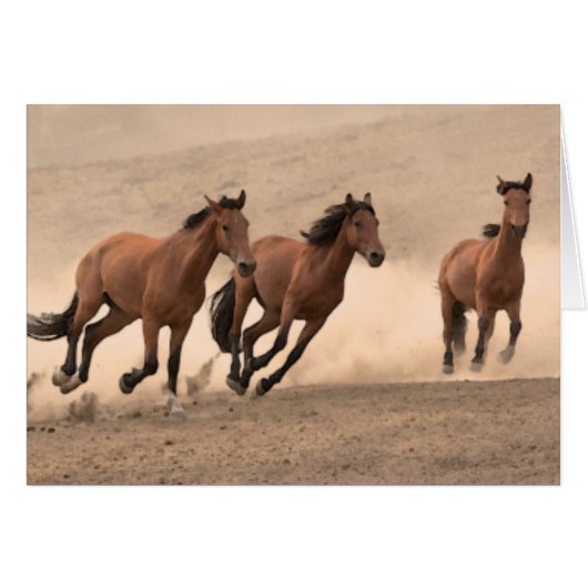 Horse In Fall II Cards (Front Horizontal)