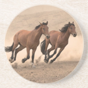 Horse In Fall II Coaster