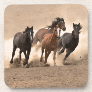 Horse In Fall II Drink Coaster